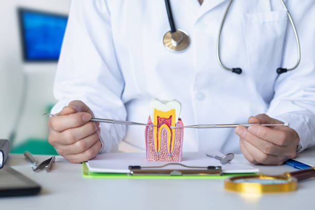 Best Emergency Tooth Extraction in Lake Hamilton, FL